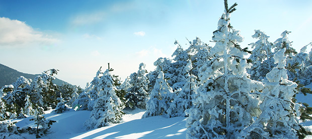 A true Winter wonderland awaits