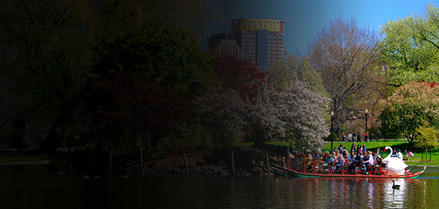 Find flights to Boston