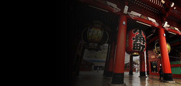 Find flights to Tokyo