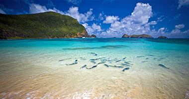 Lord Howe Island Holiday Packages Lord Howe Island Holiday Packages