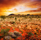 Alice Springs Holidays