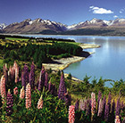 South Island Holidays