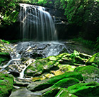 Tropical North Queensland Holidays