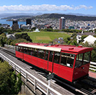 Wellington Holidays