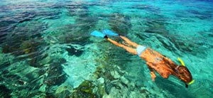 Island & Beach Holidays