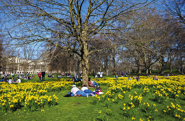 London park