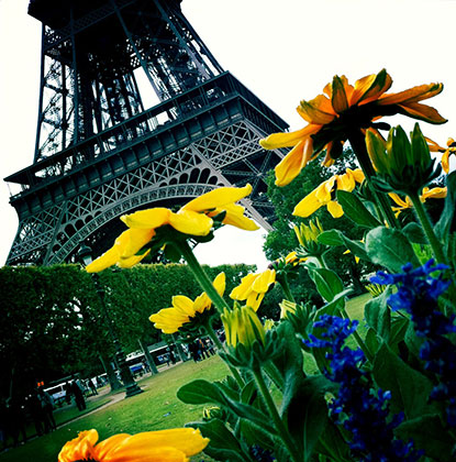  - paris-eiffel-tower-flowers_Richard_Dannhauser
