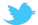 Twitter icon