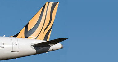 Tiger Stripes