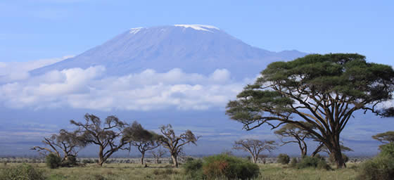 Africa: Mount Kilimanjaro