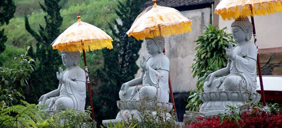 Bali: Buddhas