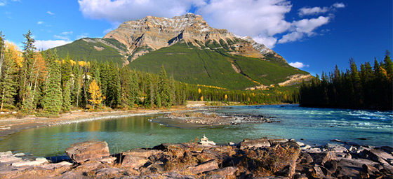Calgary: Jasper National Park