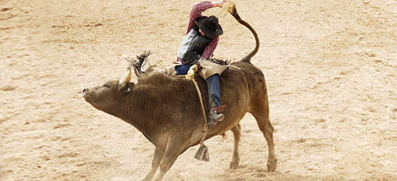 Calgary: Famous Annual Rodeo - Calgary Stampede