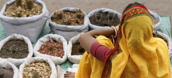 Delhi: Spices for Sale