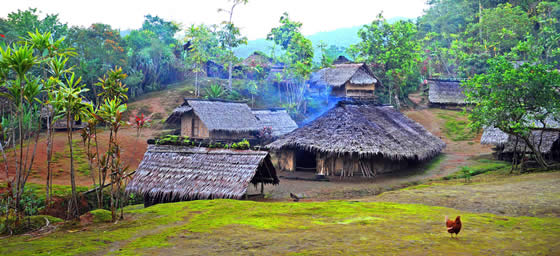 Vanuatu: Espiritu Santo Village