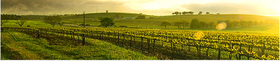 South Australia Holidays
