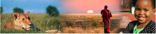 Africa Holidays