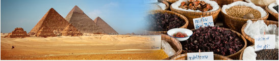 Middle East Holidays