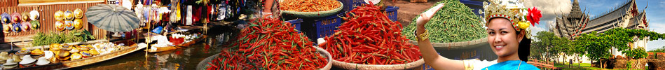 guide to Bangkok