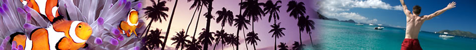 guide to Fiji