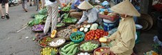 Top Spots in Vietnam
