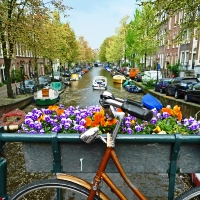 Slideshow Image 2