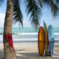 Slideshow Image 8