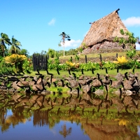 Slideshow Image 1