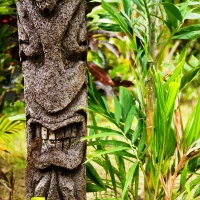 Slideshow Image 2