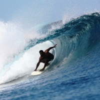 Slideshow Image 6
