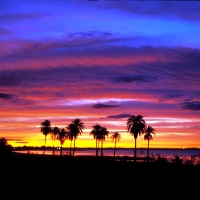 Slideshow Image 8