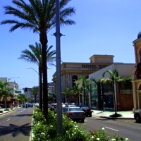 Slideshow Image 6