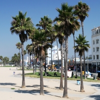 Slideshow Image 8