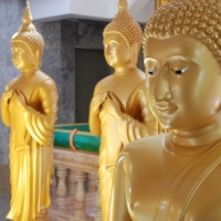 Slideshow Image 6