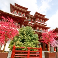 Slideshow Image 6