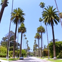 Los Angeles & San Francisco Multi-stop Airfare departing Adelaide