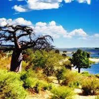 African Bush Camps 5 Days
