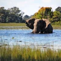Duba Plains 2 Nights