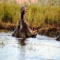 Sanctuary Zebra Plains 3 Nights