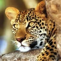Experience Samburu 3 Days, 5-Star