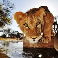 Zambezi Queen 3 Days