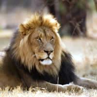 Kenya Highlights 8 Days