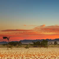 Desert Symphony 5 Days