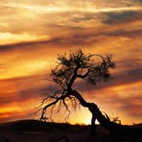 Diverse Namibia 10 Days