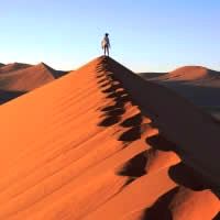 Desert Symphony 5 Days