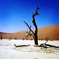 Exploring Namibia by Air 9 Days