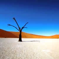 Namibia Experience 16 Days