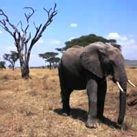 Kruger to the Cape, 15 Days