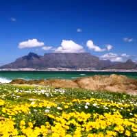 Essentially South Africa, 15 Days