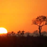 Zambezi Queen 3 Days